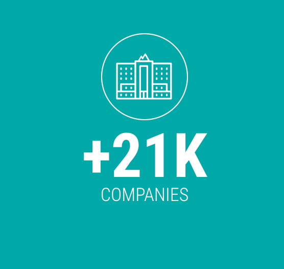 RAK Freezone | RAS AL KHAIMAH ECONOMIC ZONE incl. Visa & License