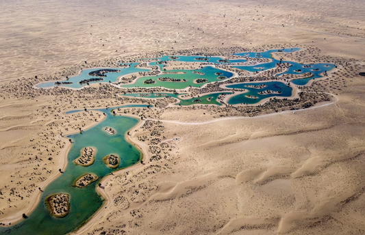 Al Qudra Lake: Ein verstecktes Naturwunder in Dubai