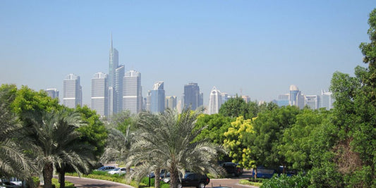 Dubai skyline with expats preparing luggage